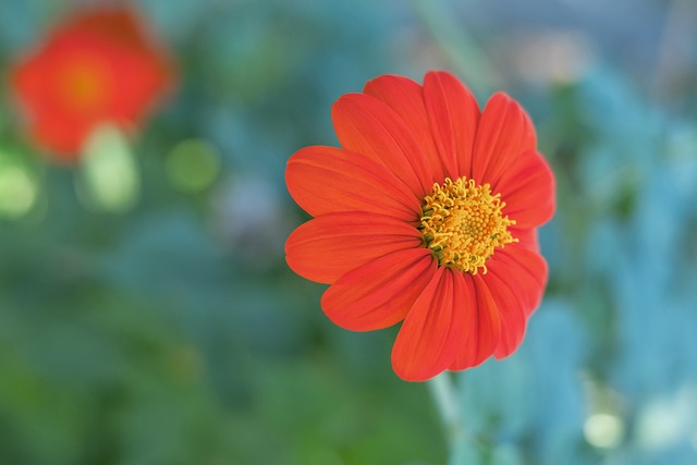 核心球员 核心球员