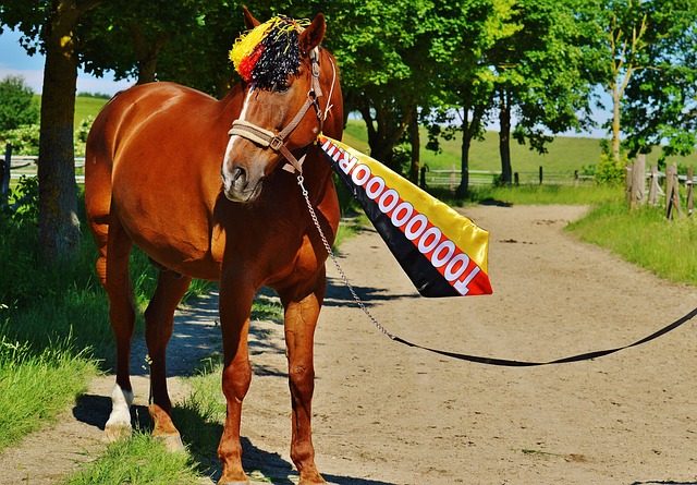 以其卓越的 以其卓越的