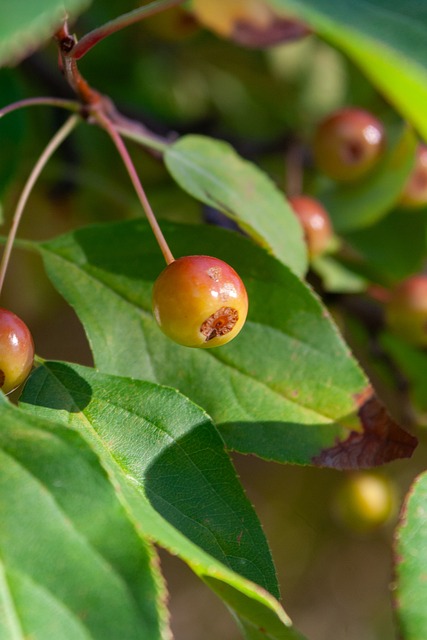 是未来他们 是未来他们
