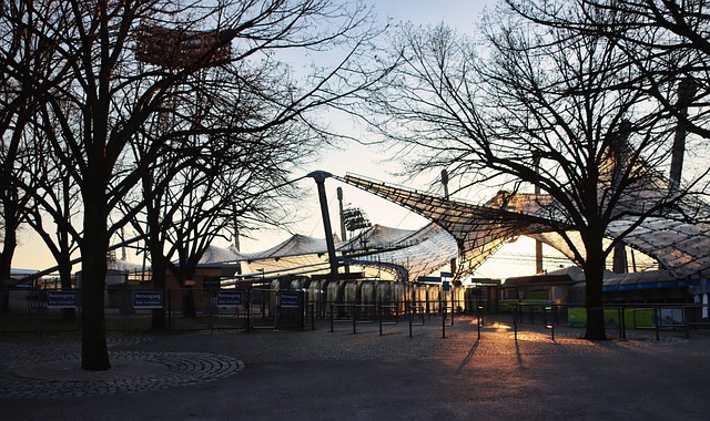 火箭队年轻 火箭队年轻