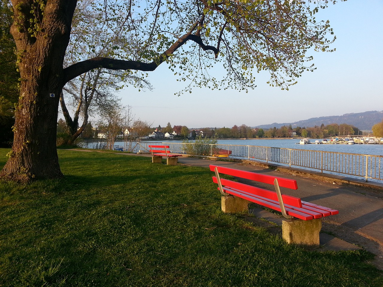 职业寿命限 职业寿命限